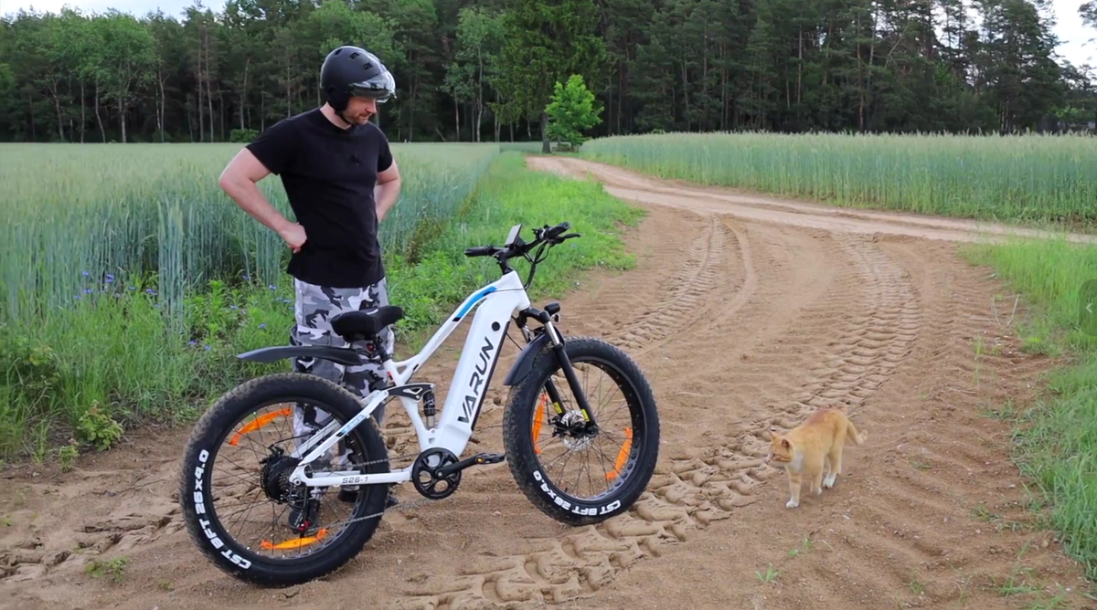 How to Enjoy an E-bike Adventure with Your Dog
